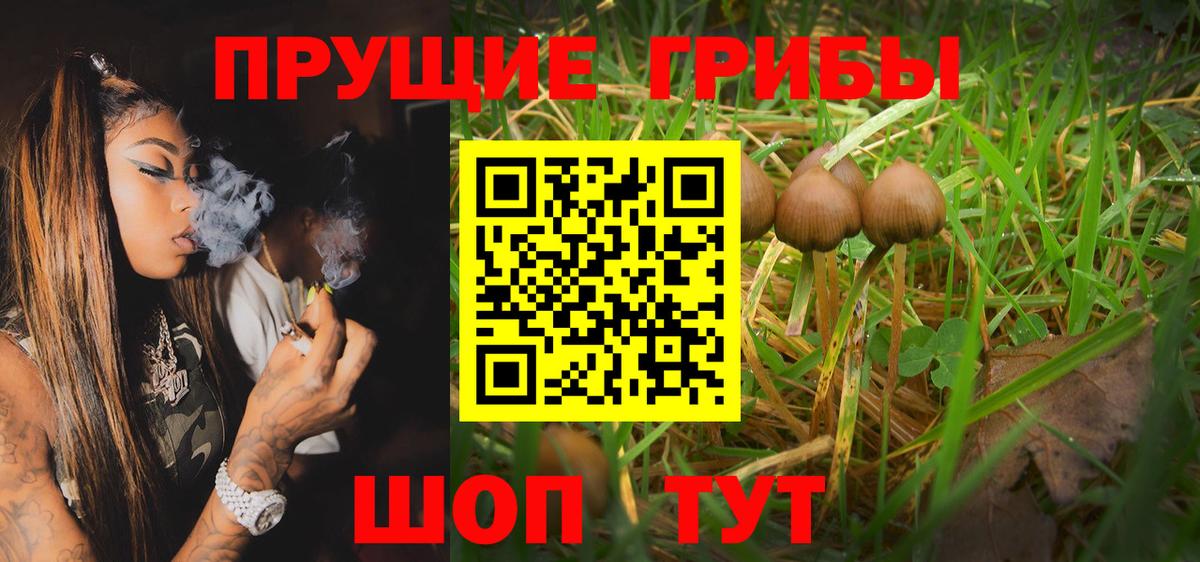 Псилоцибиновые грибы Magic Shrooms  Вход с VPN  Аксай 