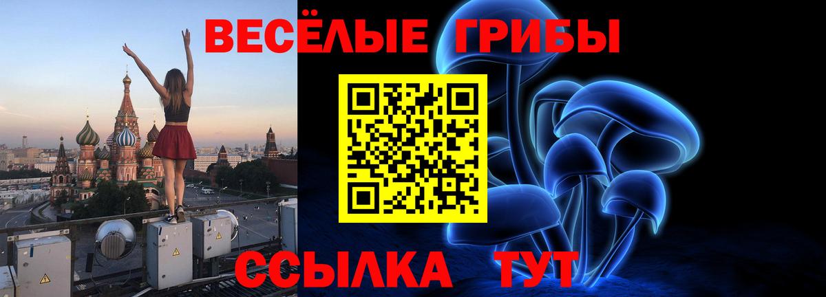 Галлюциногенные грибы Psilocybe Аксай